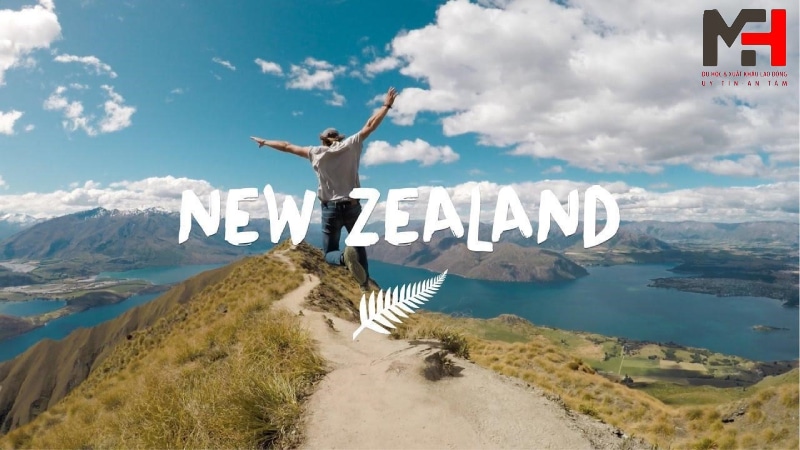 Tại sao nên đến New Zealand du học?