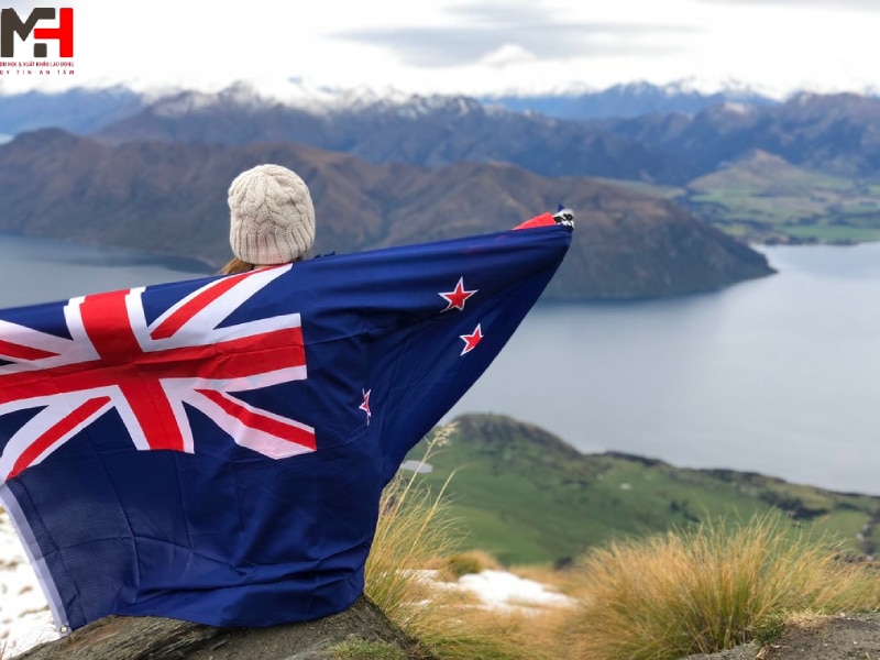 Tìm hiểu học gì để dễ định cư tại New Zealand