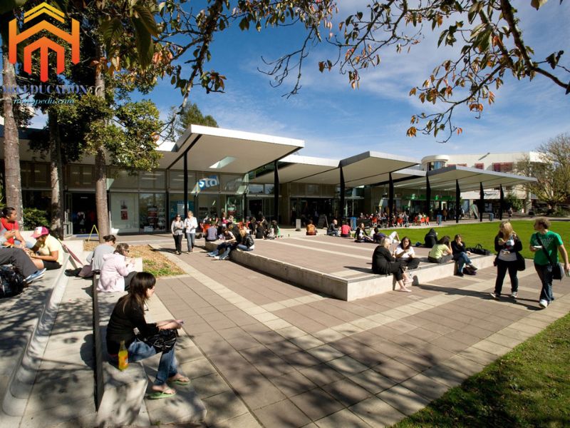 Đại học Waikato New Zealand