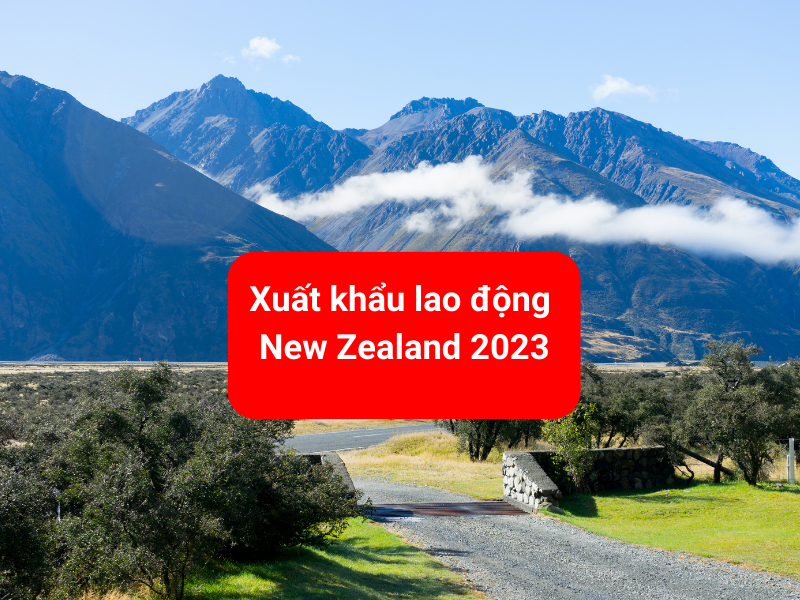 Xuất khẩu lao động New Zealand 2023